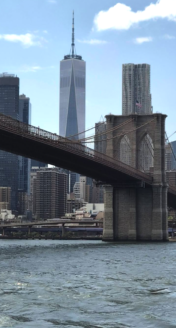 The Brooklyn Bridge and the Lower Manhattan skyline